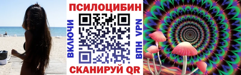 Псилоцибиновые грибы ЛСД  закладка  Торопец 